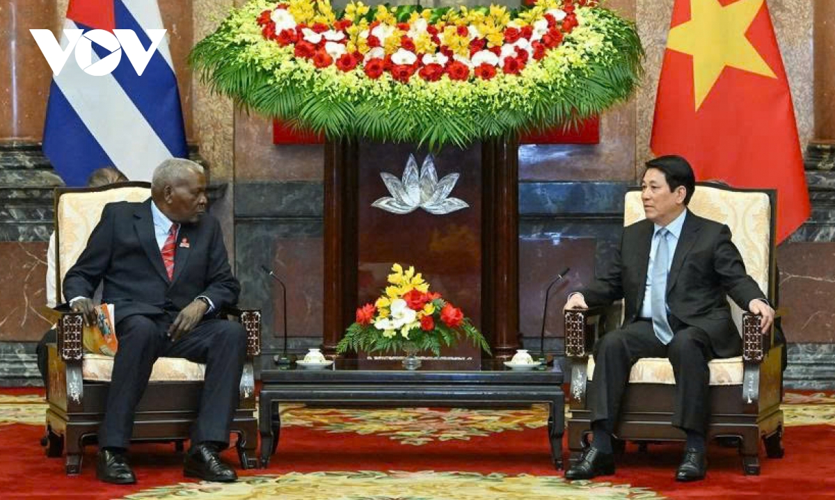 Vietnam ready to share development experience with Cuba